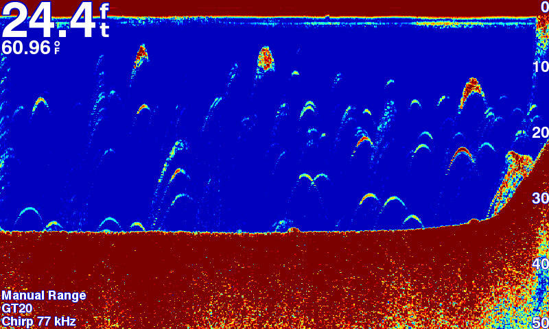 STRIKER�����ʡ����������ꥢ�ӥ塼/�̾��õ�β���2ʬ��