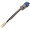 ¾�Ҵ��߿�ư�Ң�LOWRANCE���֥롼���ͥ�������ư���Ѵ������ӥ�